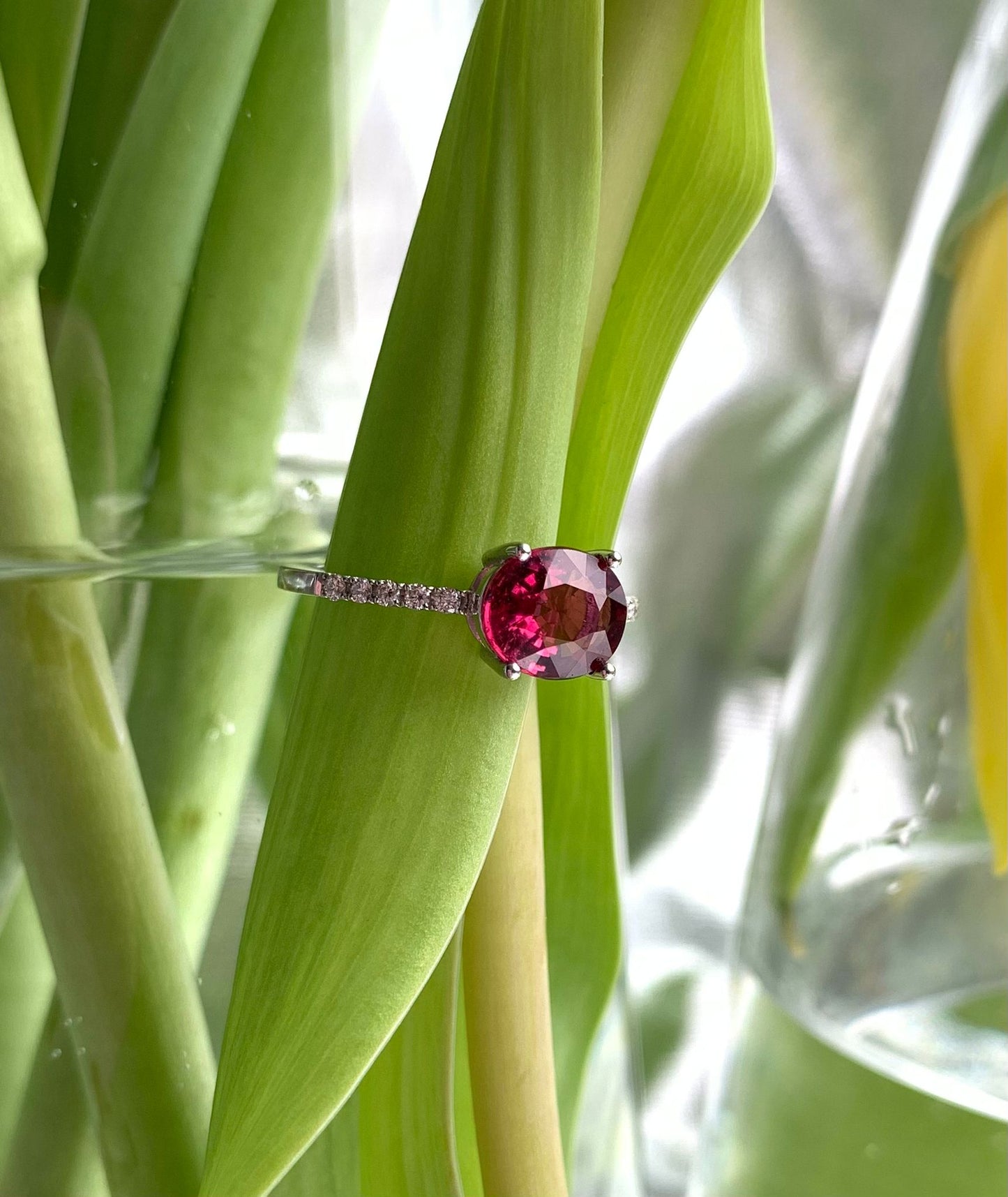 OVAL RUBELLITE WHITE GOLD RING